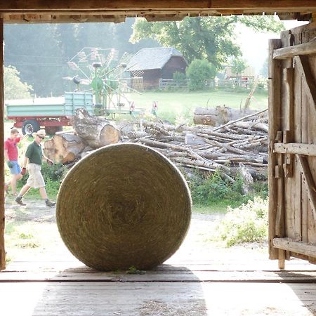 Urlaub Am Bio-Bauernhof Liebchen Villa Zeutschach Bagian luar foto