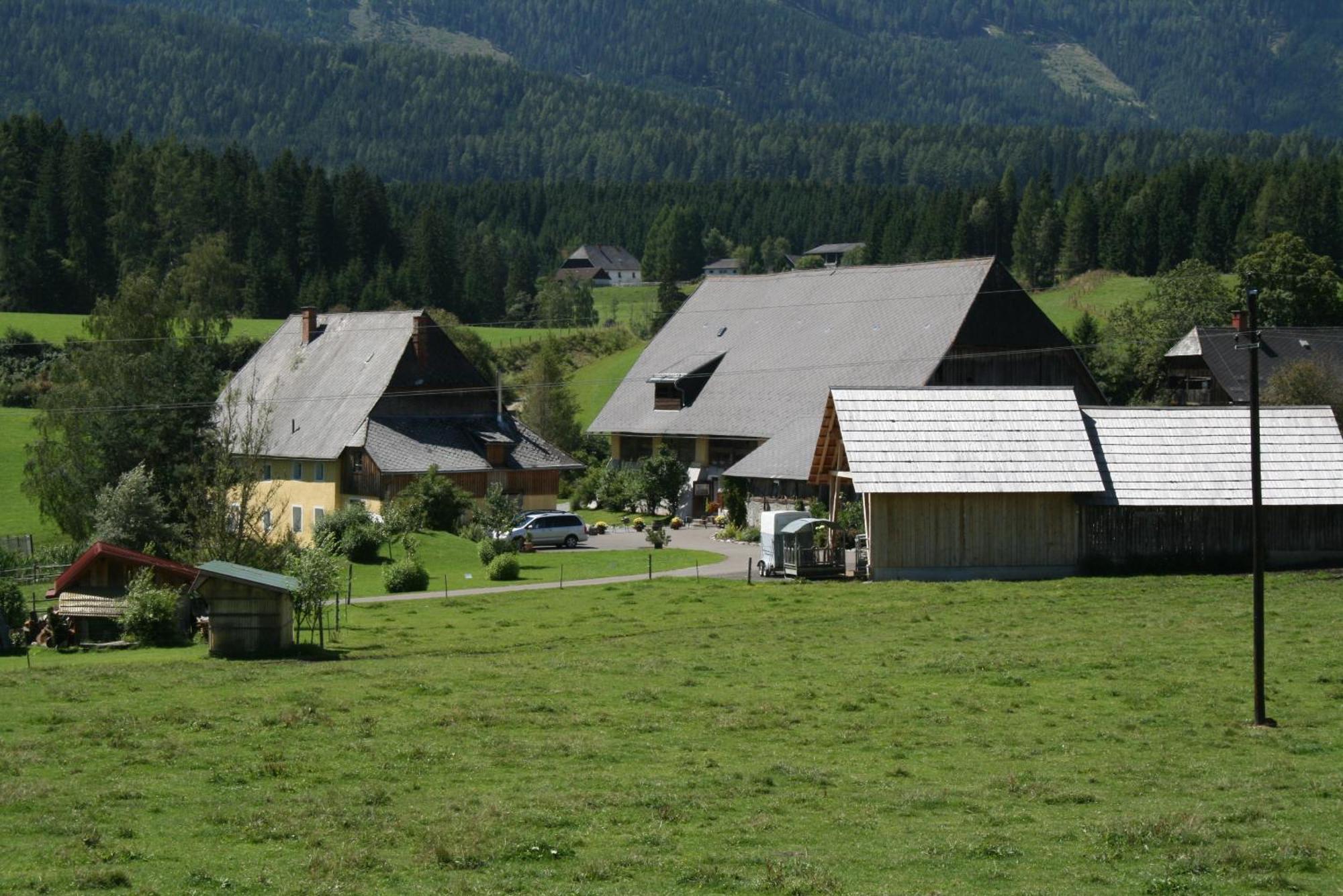 Urlaub Am Bio-Bauernhof Liebchen Villa Zeutschach Bagian luar foto