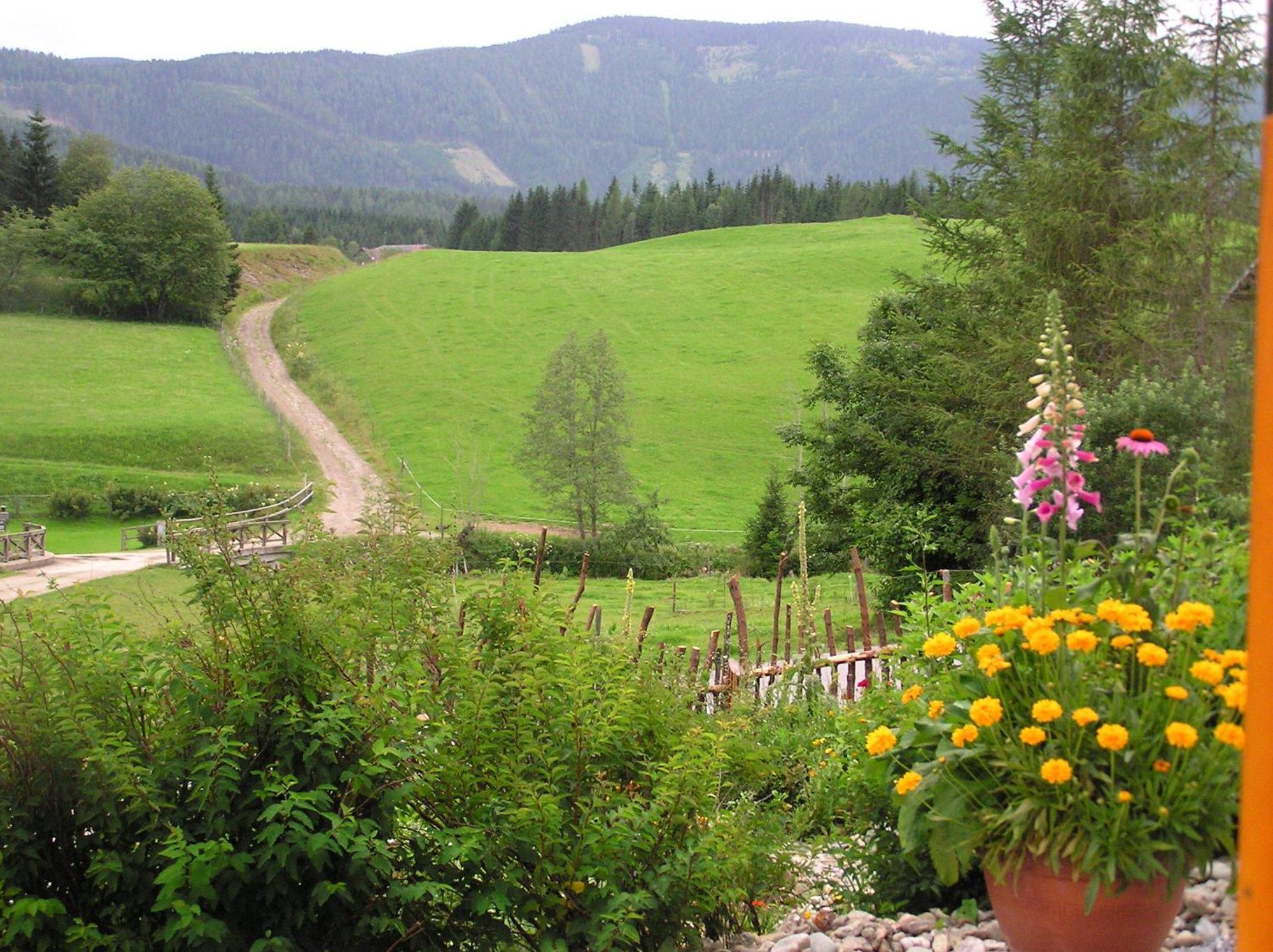 Urlaub Am Bio-Bauernhof Liebchen Villa Zeutschach Bagian luar foto