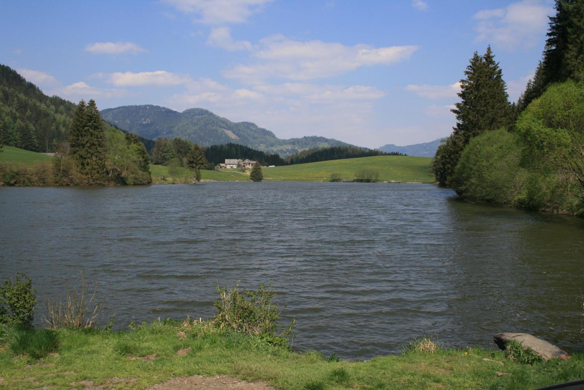 Urlaub Am Bio-Bauernhof Liebchen Villa Zeutschach Bagian luar foto