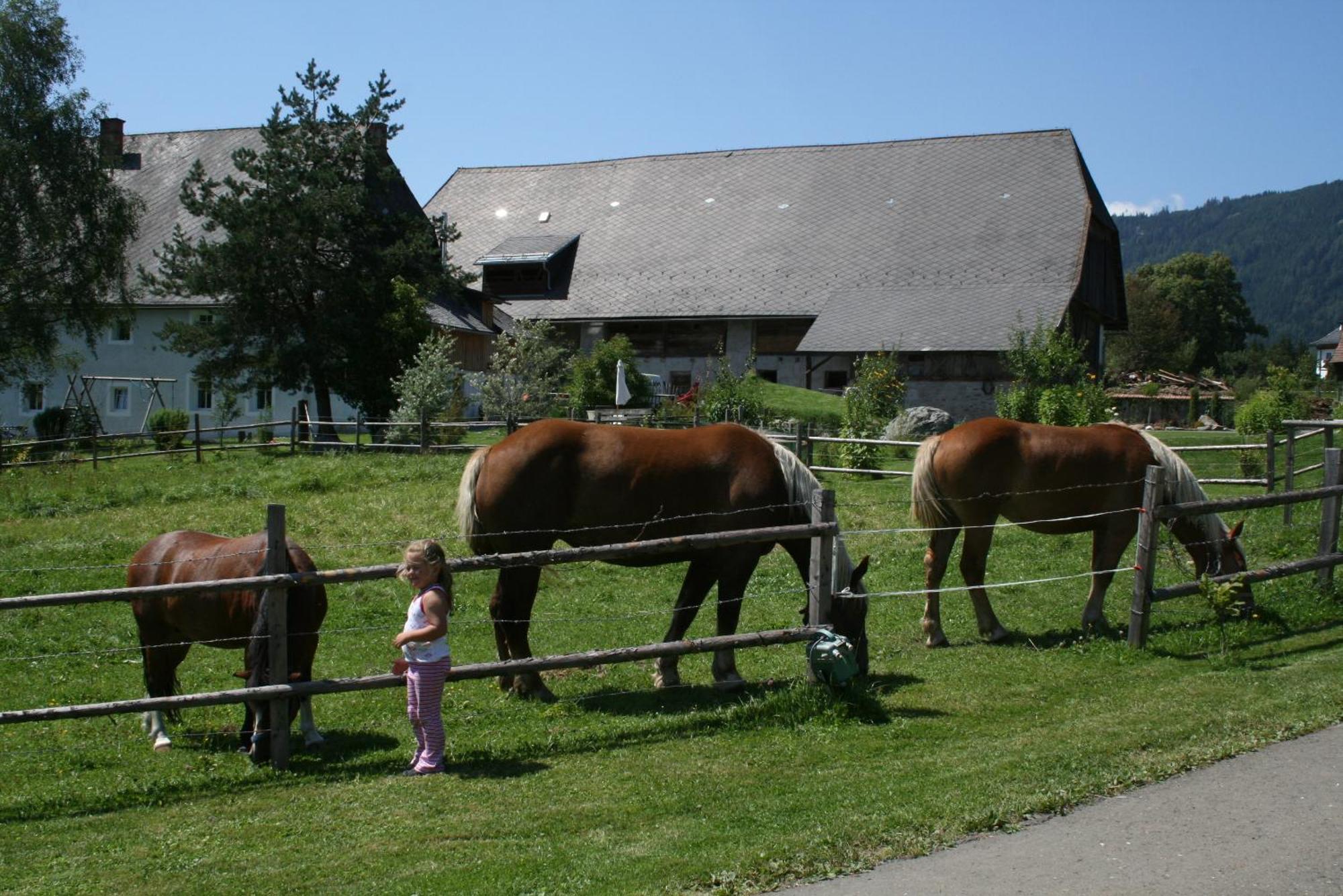 Urlaub Am Bio-Bauernhof Liebchen Villa Zeutschach Bagian luar foto