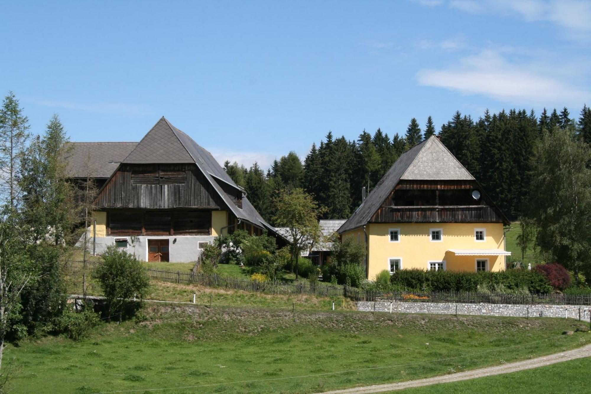 Urlaub Am Bio-Bauernhof Liebchen Villa Zeutschach Bagian luar foto