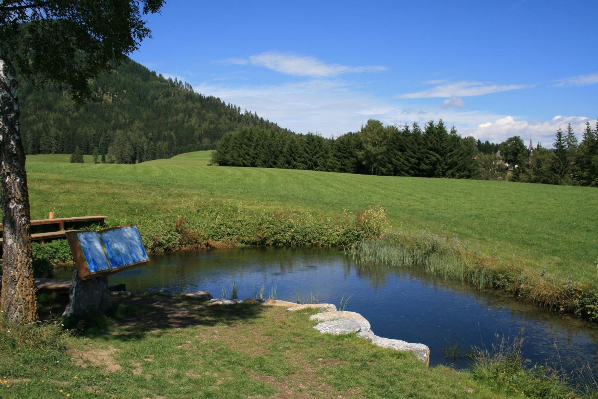 Urlaub Am Bio-Bauernhof Liebchen Villa Zeutschach Bagian luar foto
